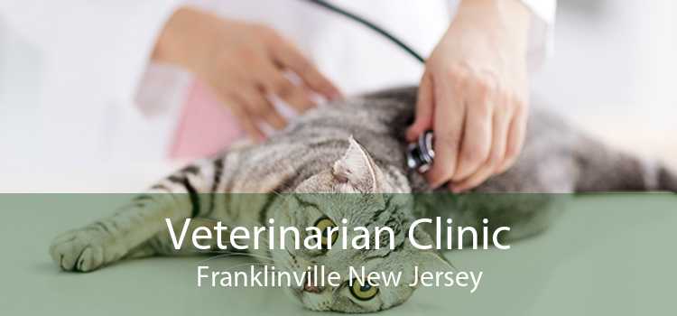 Veterinarian Clinic Franklinville New Jersey