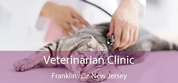 Veterinarian Clinic Franklinville New Jersey