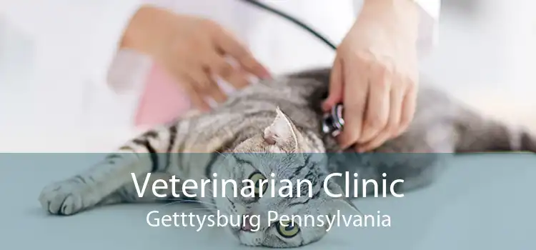 Veterinarian Clinic Getttysburg Pennsylvania