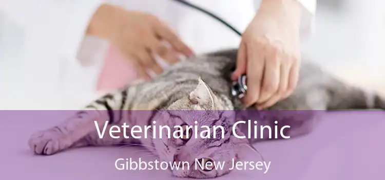 Veterinarian Clinic Gibbstown New Jersey