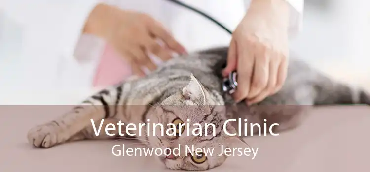 Veterinarian Clinic Glenwood New Jersey