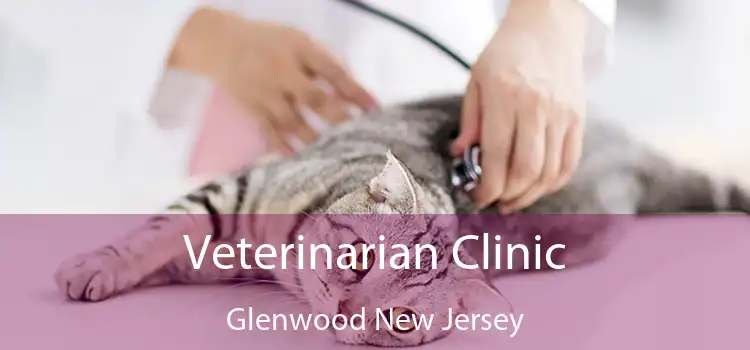 Veterinarian Clinic Glenwood New Jersey