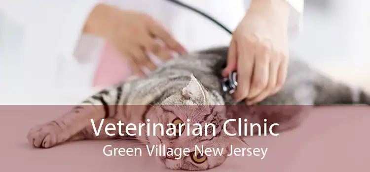 Veterinarian Clinic Green Village New Jersey