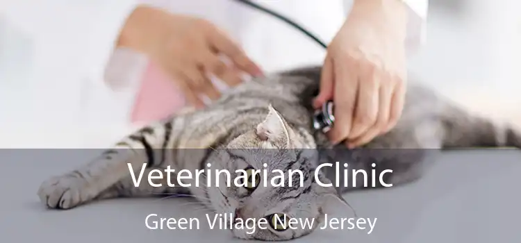 Veterinarian Clinic Green Village New Jersey