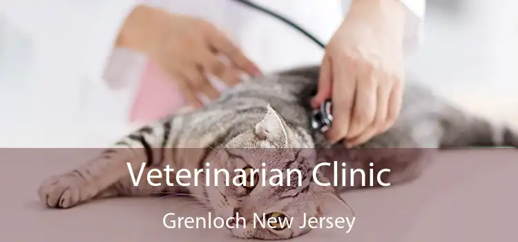 Veterinarian Clinic Grenloch New Jersey