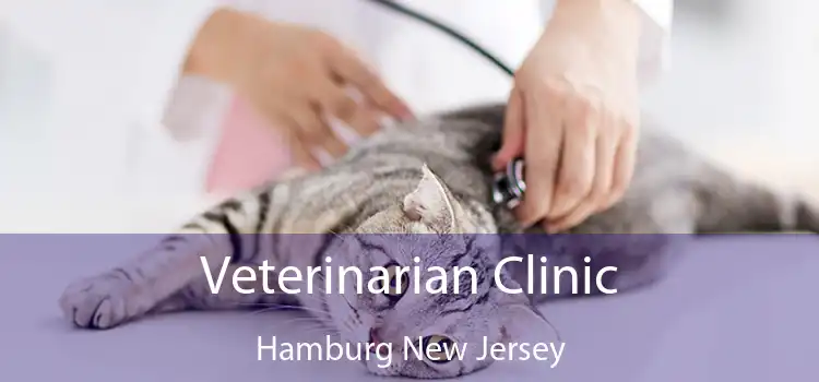 Veterinarian Clinic Hamburg New Jersey