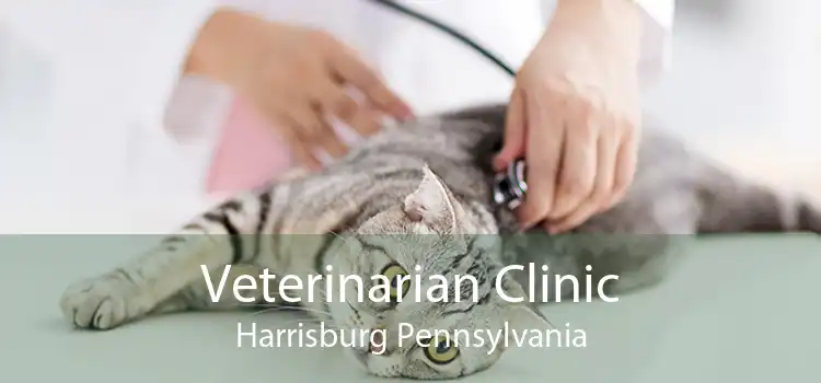 Veterinarian Clinic Harrisburg Pennsylvania