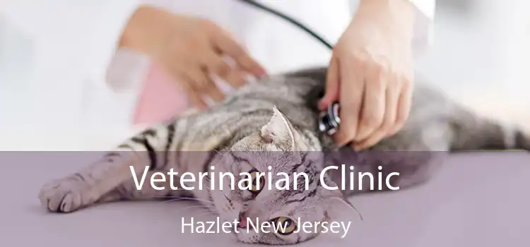 Veterinarian Clinic Hazlet New Jersey