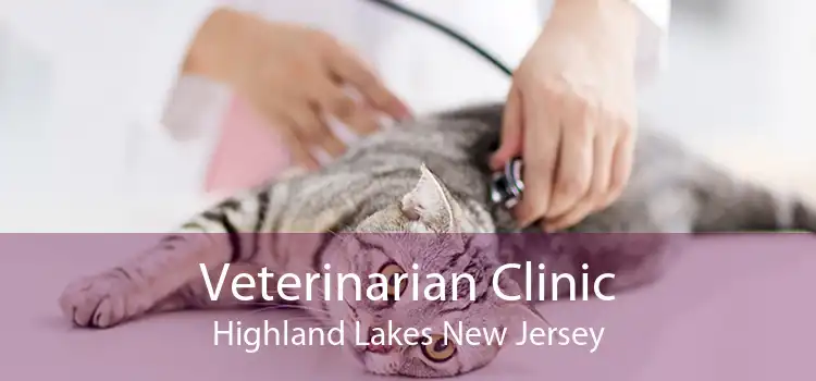 Veterinarian Clinic Highland Lakes New Jersey