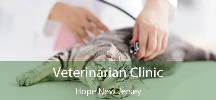 Veterinarian Clinic Hope New Jersey