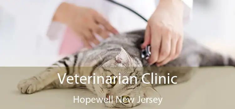 Veterinarian Clinic Hopewell New Jersey