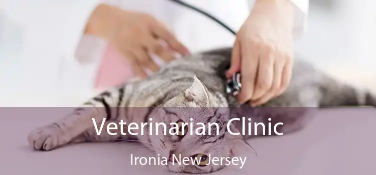 Veterinarian Clinic Ironia New Jersey