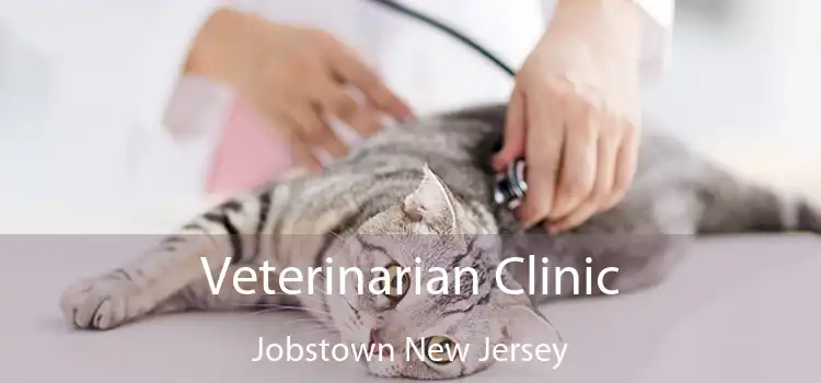 Veterinarian Clinic Jobstown New Jersey