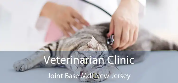 Veterinarian Clinic Joint Base Mdl New Jersey