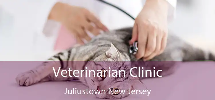 Veterinarian Clinic Juliustown New Jersey