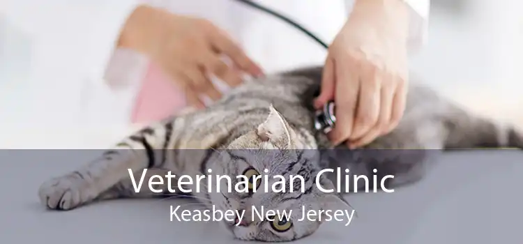 Veterinarian Clinic Keasbey New Jersey