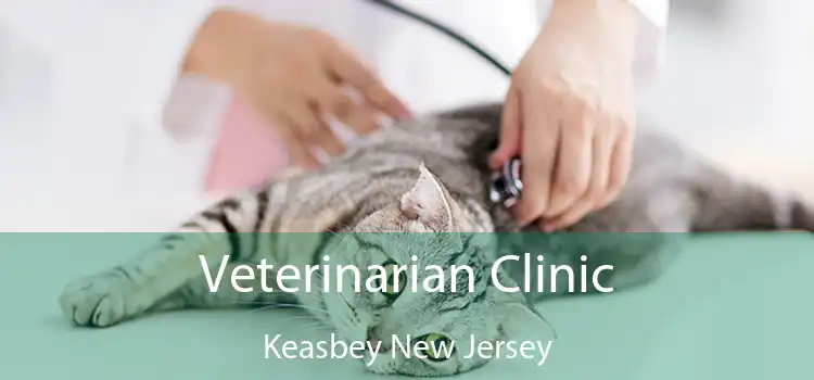 Veterinarian Clinic Keasbey New Jersey