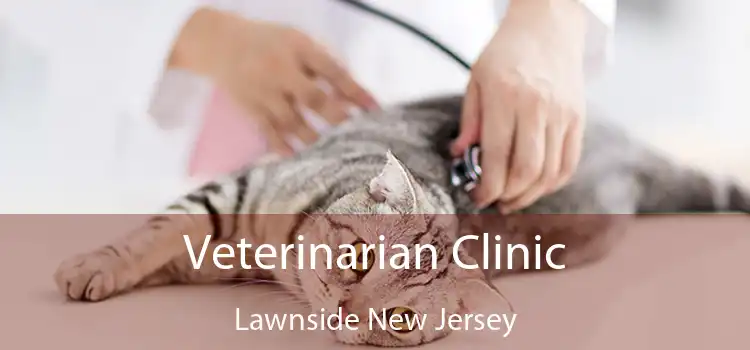 Veterinarian Clinic Lawnside New Jersey