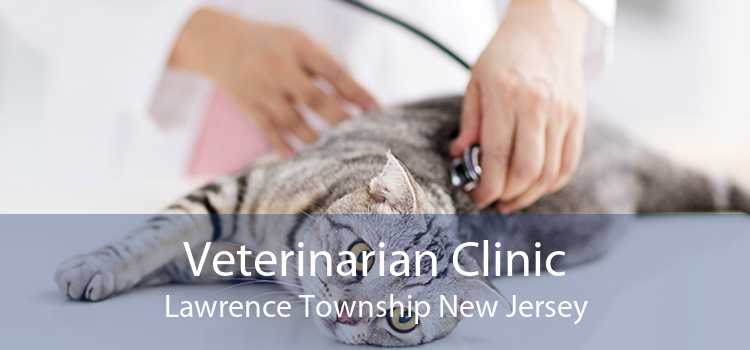 Veterinarian Clinic Lawrence Township New Jersey