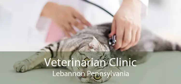 Veterinarian Clinic Lebannon Pennsylvania