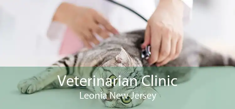 Veterinarian Clinic Leonia New Jersey