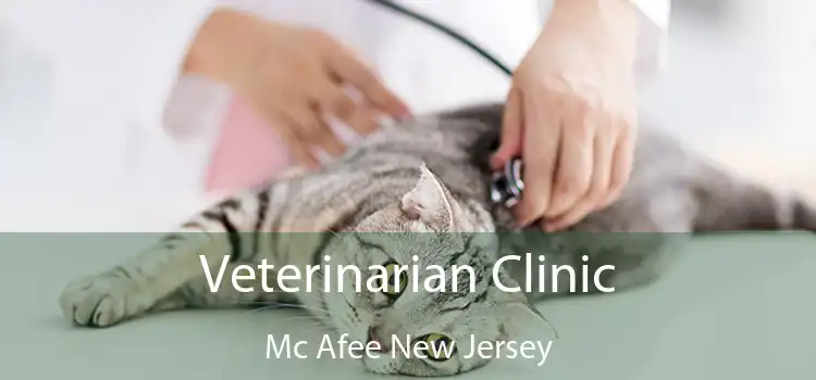 Veterinarian Clinic Mc Afee New Jersey