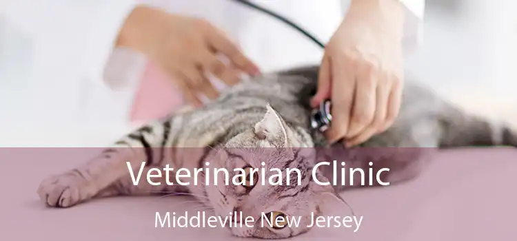 Veterinarian Clinic Middleville New Jersey