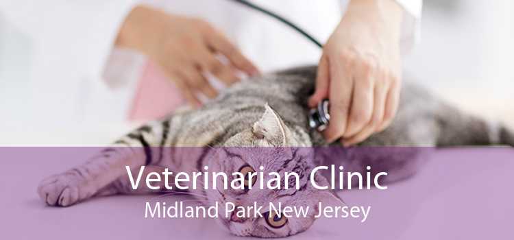 Veterinarian Clinic Midland Park New Jersey
