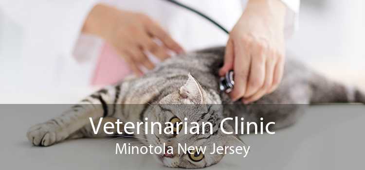 Veterinarian Clinic Minotola New Jersey