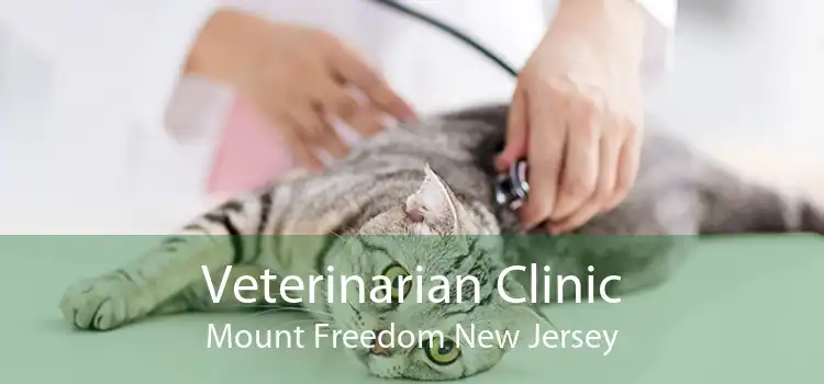 Veterinarian Clinic Mount Freedom New Jersey