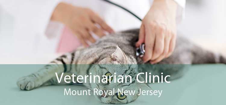 Veterinarian Clinic Mount Royal New Jersey