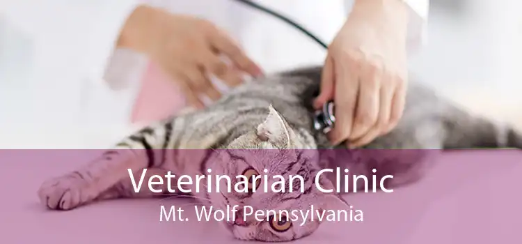 Veterinarian Clinic Mt. Wolf Pennsylvania