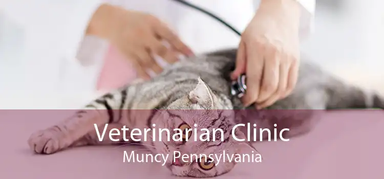 Veterinarian Clinic Muncy Pennsylvania