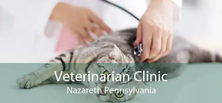 Veterinarian Clinic Nazareth Pennsylvania
