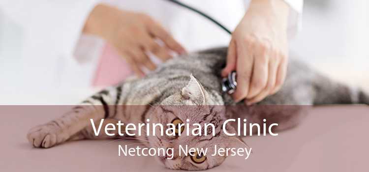 Veterinarian Clinic Netcong New Jersey