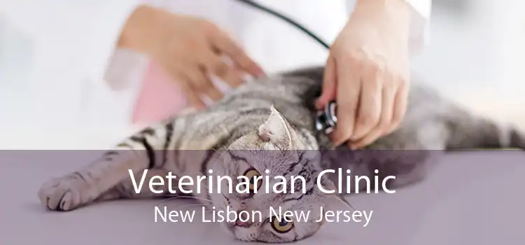 Veterinarian Clinic New Lisbon New Jersey