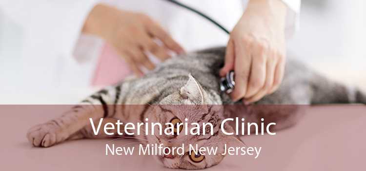 Veterinarian Clinic New Milford New Jersey