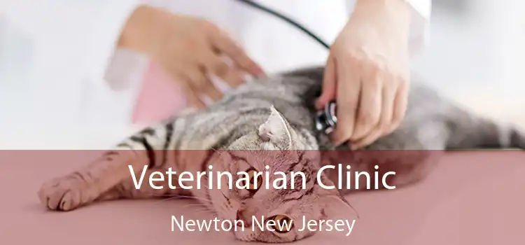 Veterinarian Clinic Newton New Jersey