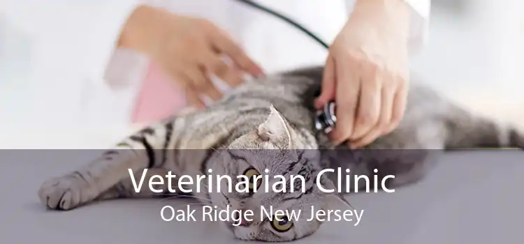 Veterinarian Clinic Oak Ridge New Jersey