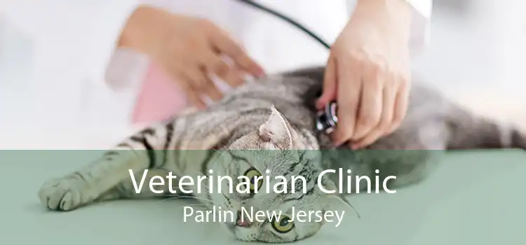 Veterinarian Clinic Parlin New Jersey