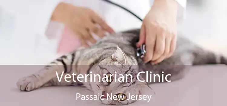 Veterinarian Clinic Passaic New Jersey