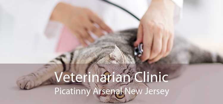 Veterinarian Clinic Picatinny Arsenal New Jersey