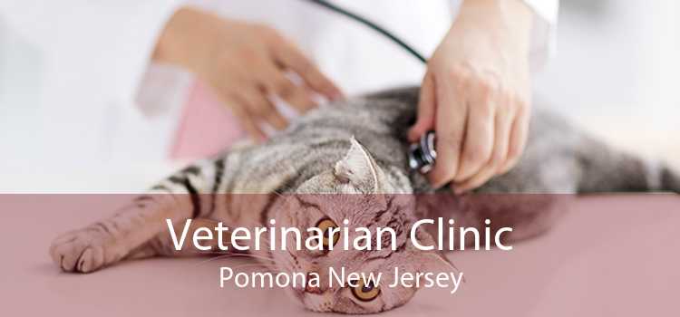 Veterinarian Clinic Pomona New Jersey