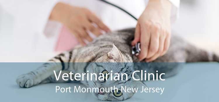 Veterinarian Clinic Port Monmouth New Jersey
