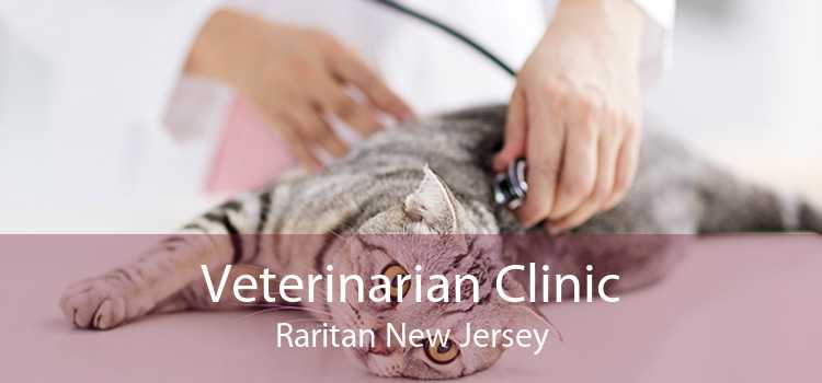 Veterinarian Clinic Raritan New Jersey