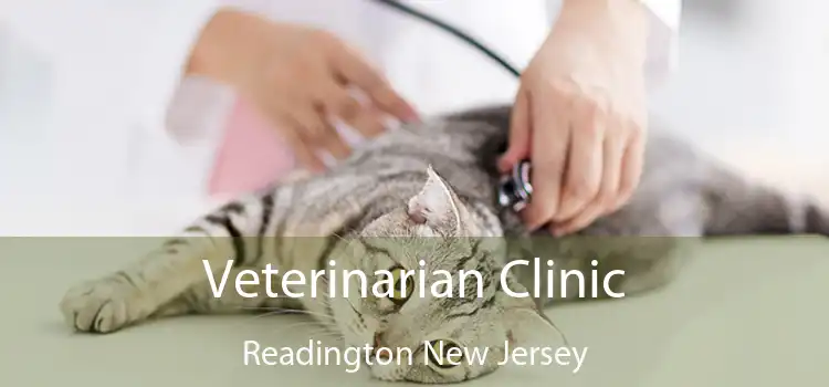 Veterinarian Clinic Readington New Jersey