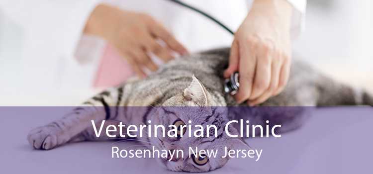 Veterinarian Clinic Rosenhayn New Jersey