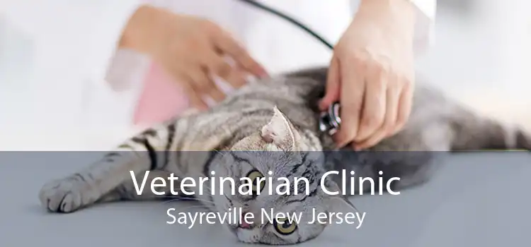 Veterinarian Clinic Sayreville New Jersey