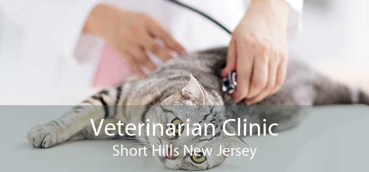 Veterinarian Clinic Short Hills New Jersey
