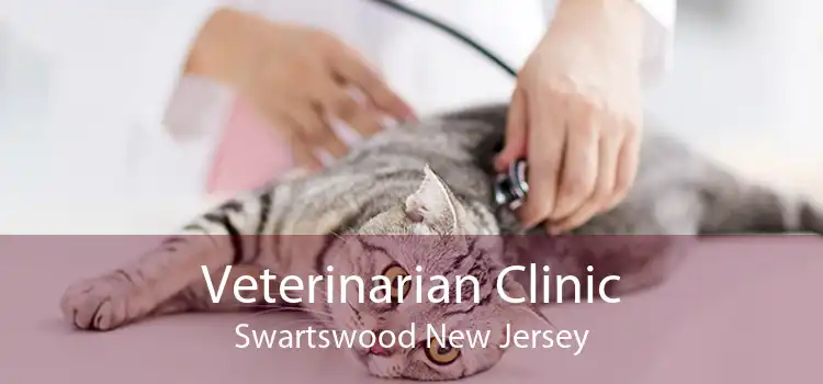 Veterinarian Clinic Swartswood New Jersey